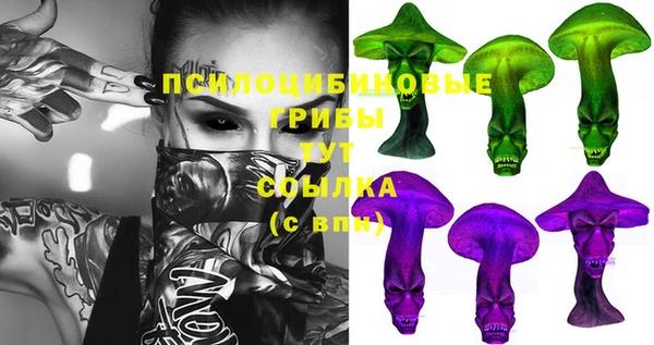 скорость Алзамай