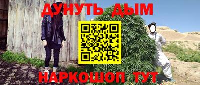 крисы Кимры